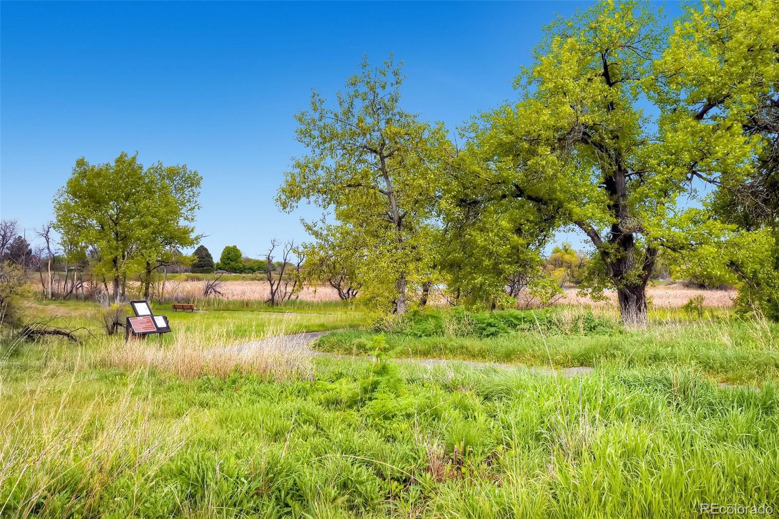 MLS Image #36 for 1183 s pierson court,denver, Colorado