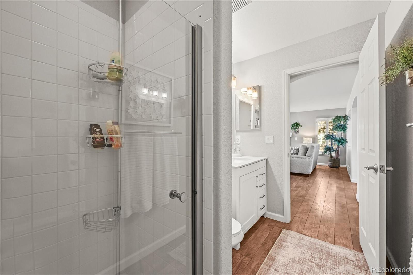 MLS Image #13 for 6242  shea place,highlands ranch, Colorado