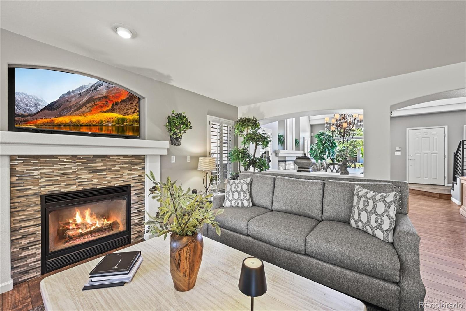 MLS Image #4 for 6242  shea place,highlands ranch, Colorado