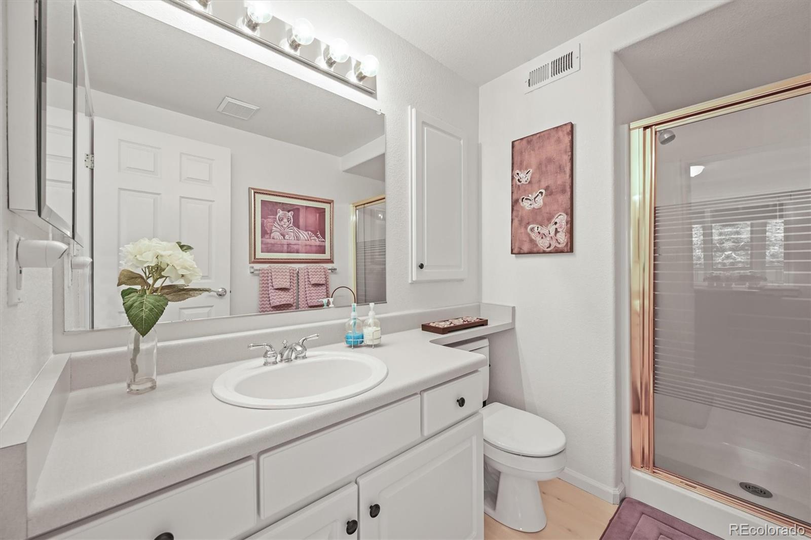 MLS Image #40 for 6242  shea place,highlands ranch, Colorado