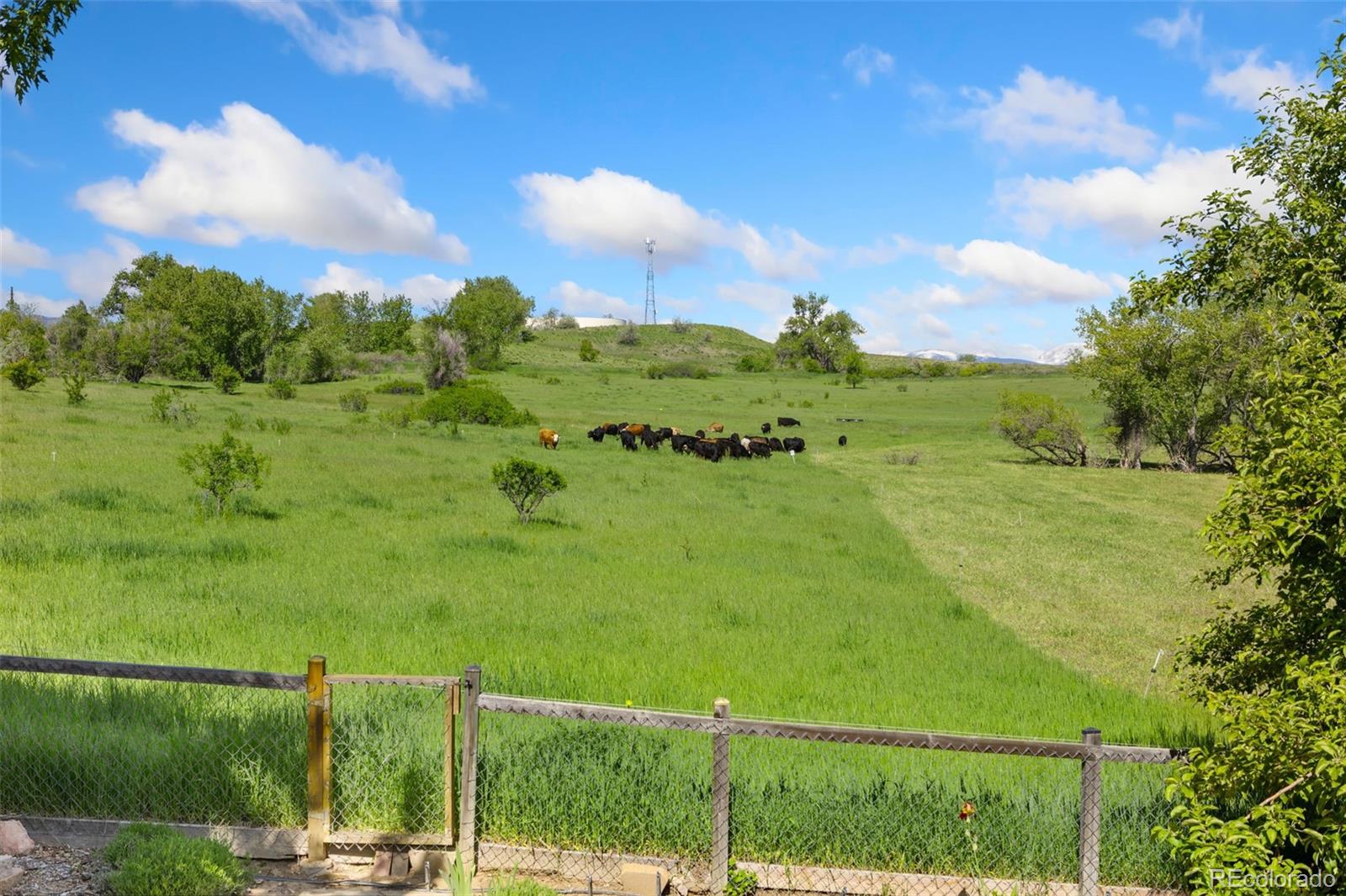 MLS Image #23 for 2251  cliffrose lane,louisville, Colorado