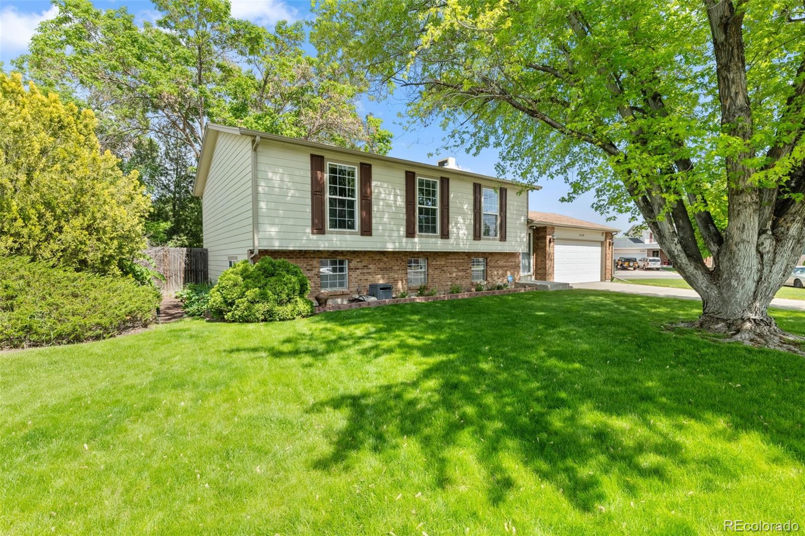 MLS Image #3 for 11199  dahlia place,thornton, Colorado