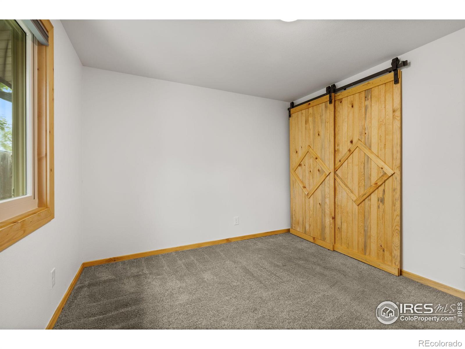 MLS Image #13 for 1805  kinnikinnik place,loveland, Colorado