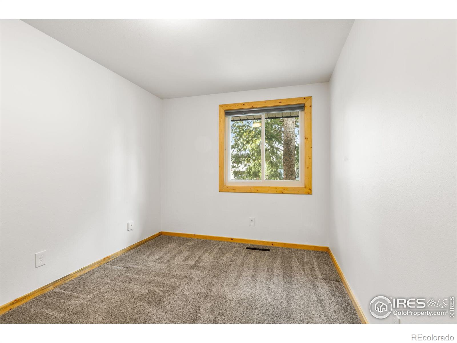 MLS Image #17 for 1805  kinnikinnik place,loveland, Colorado