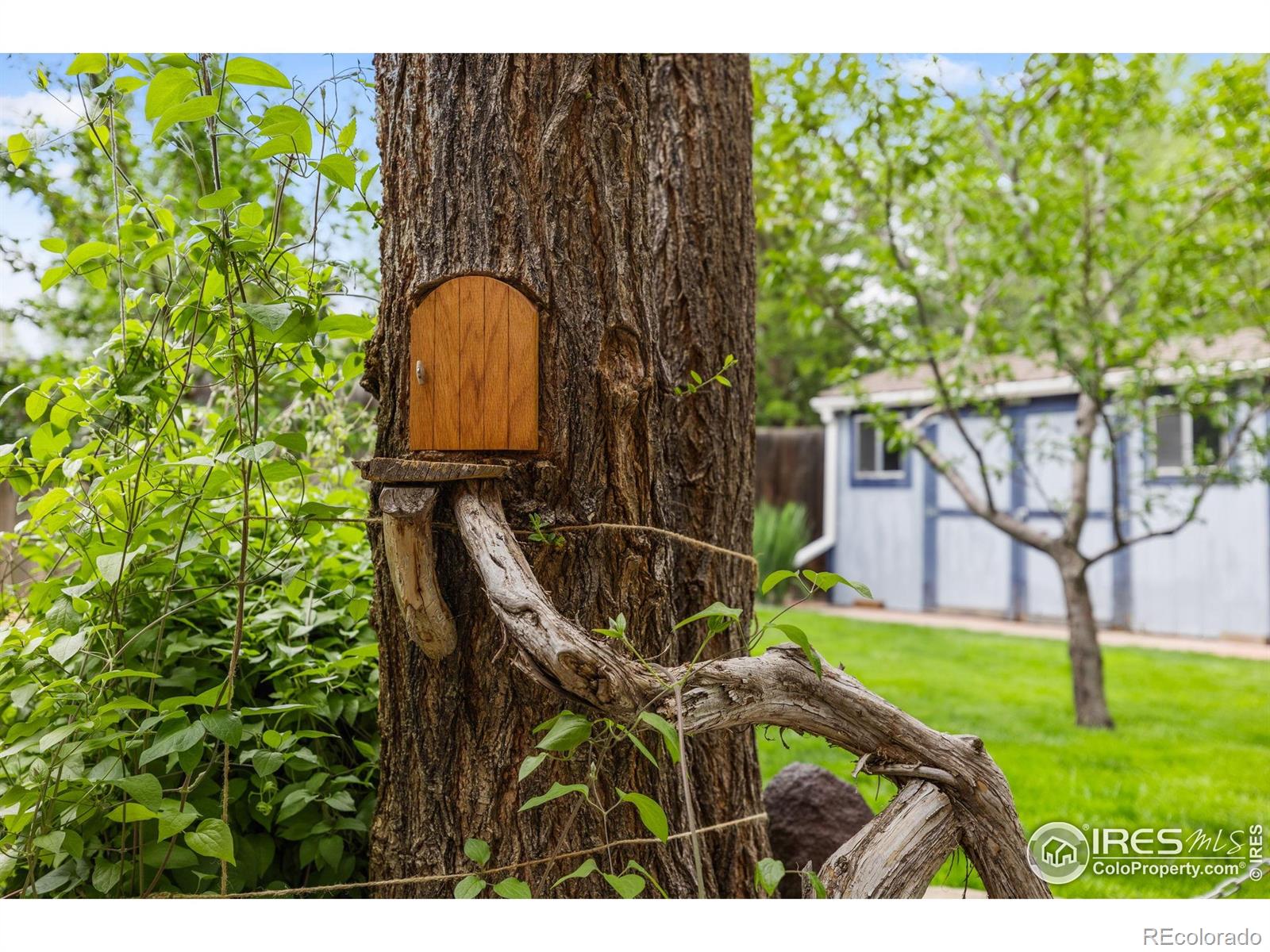 MLS Image #32 for 1805  kinnikinnik place,loveland, Colorado