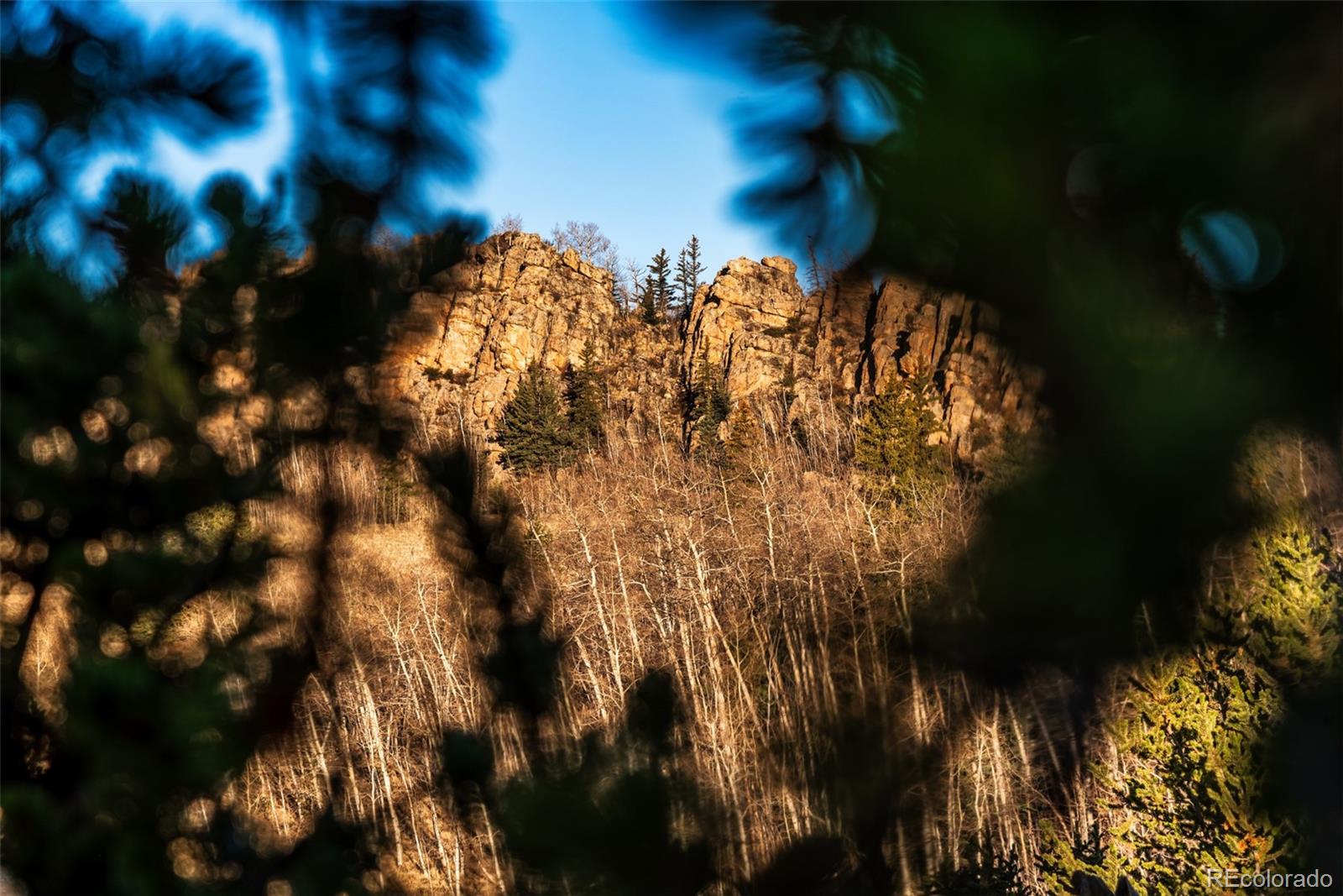 MLS Image #45 for 420  shetland circle,como, Colorado