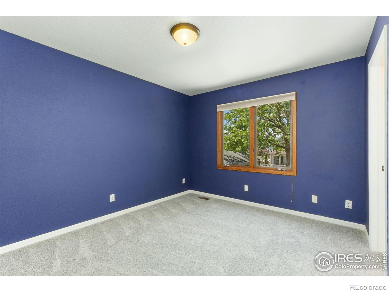 MLS Image #29 for 531 s 9th street,berthoud, Colorado