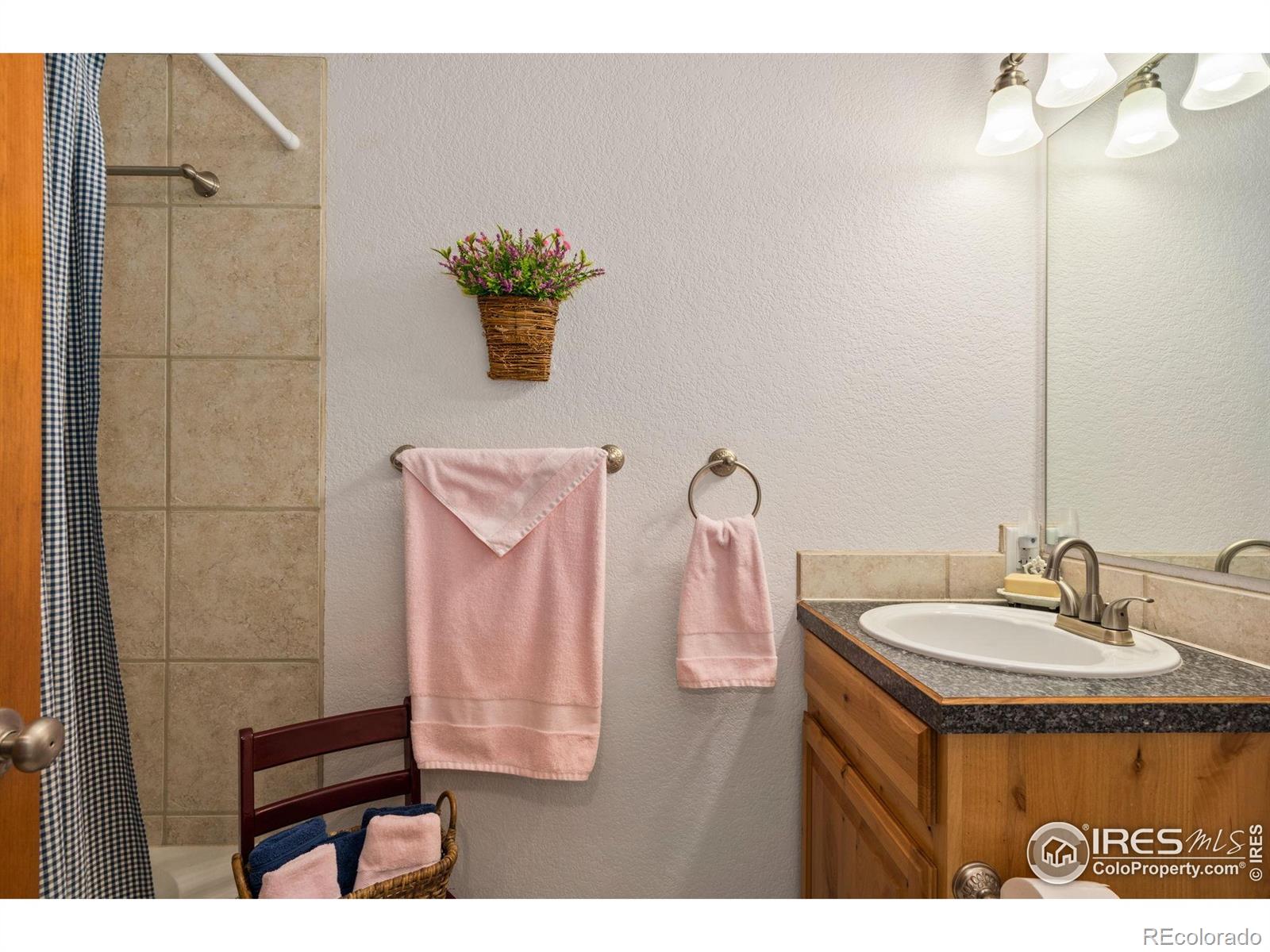 MLS Image #14 for 201  timber ridge court,severance, Colorado