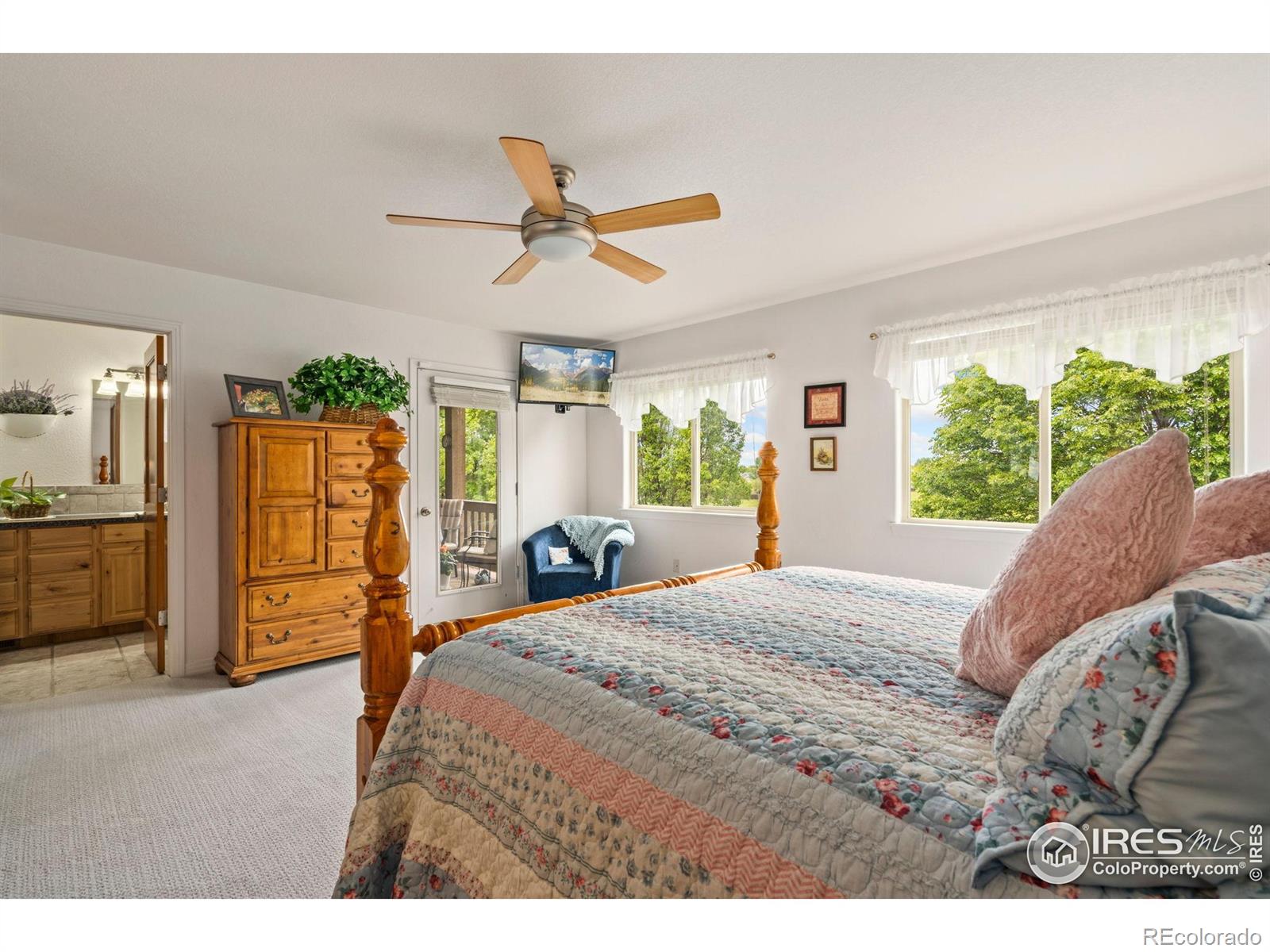 MLS Image #16 for 201  timber ridge court,severance, Colorado