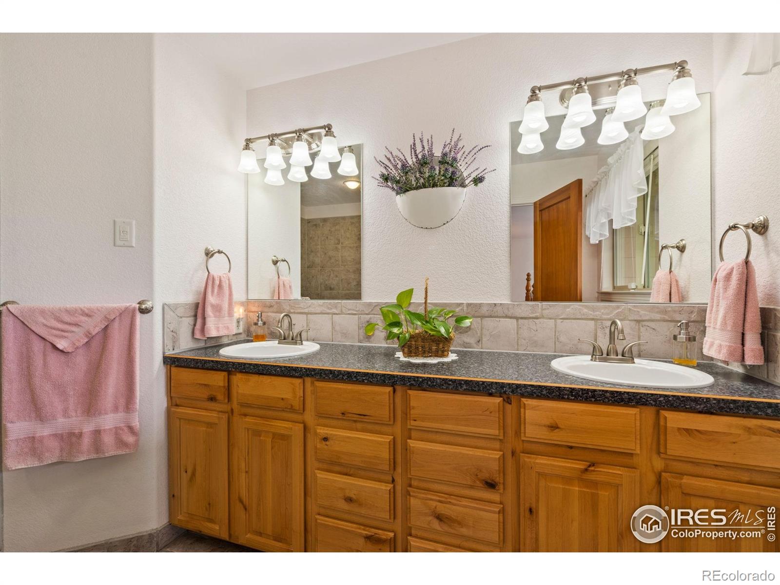 MLS Image #17 for 201  timber ridge court,severance, Colorado
