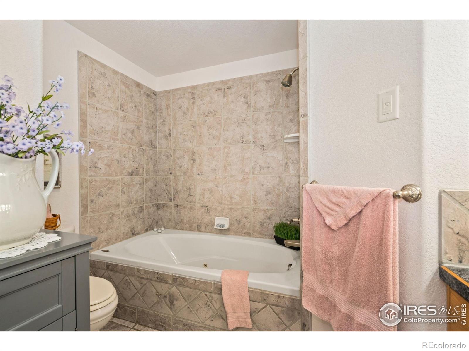 MLS Image #18 for 201  timber ridge court,severance, Colorado