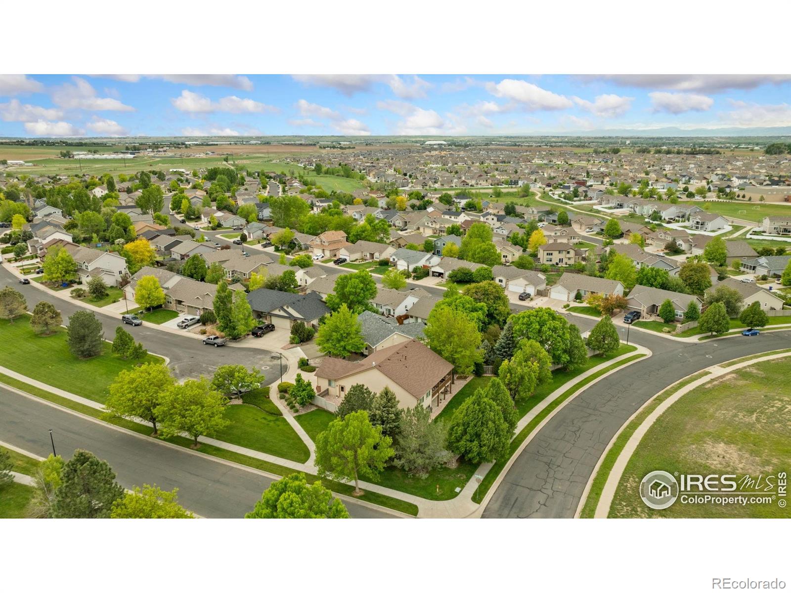 MLS Image #3 for 201  timber ridge court,severance, Colorado