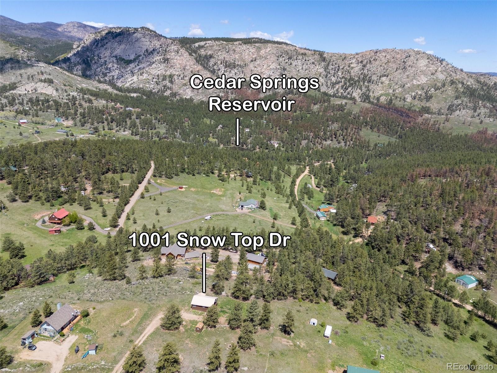 MLS Image #27 for 1001  snow top drive,drake, Colorado