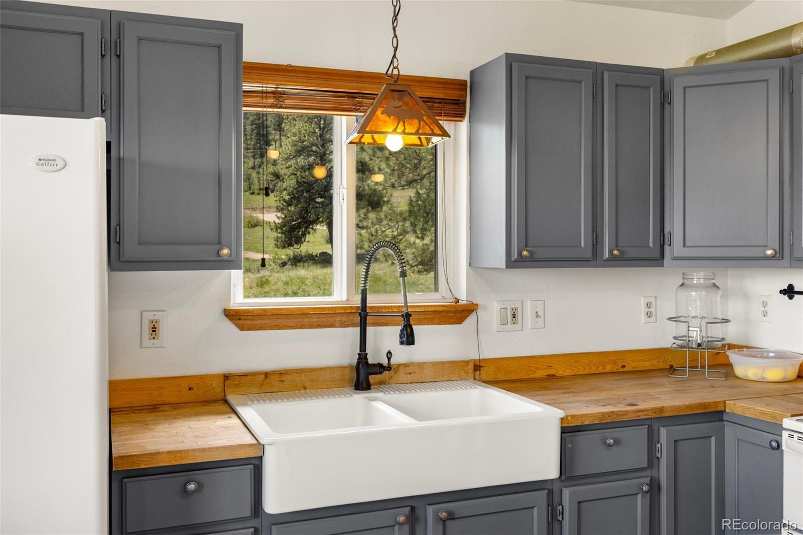 MLS Image #9 for 1001  snow top drive,drake, Colorado