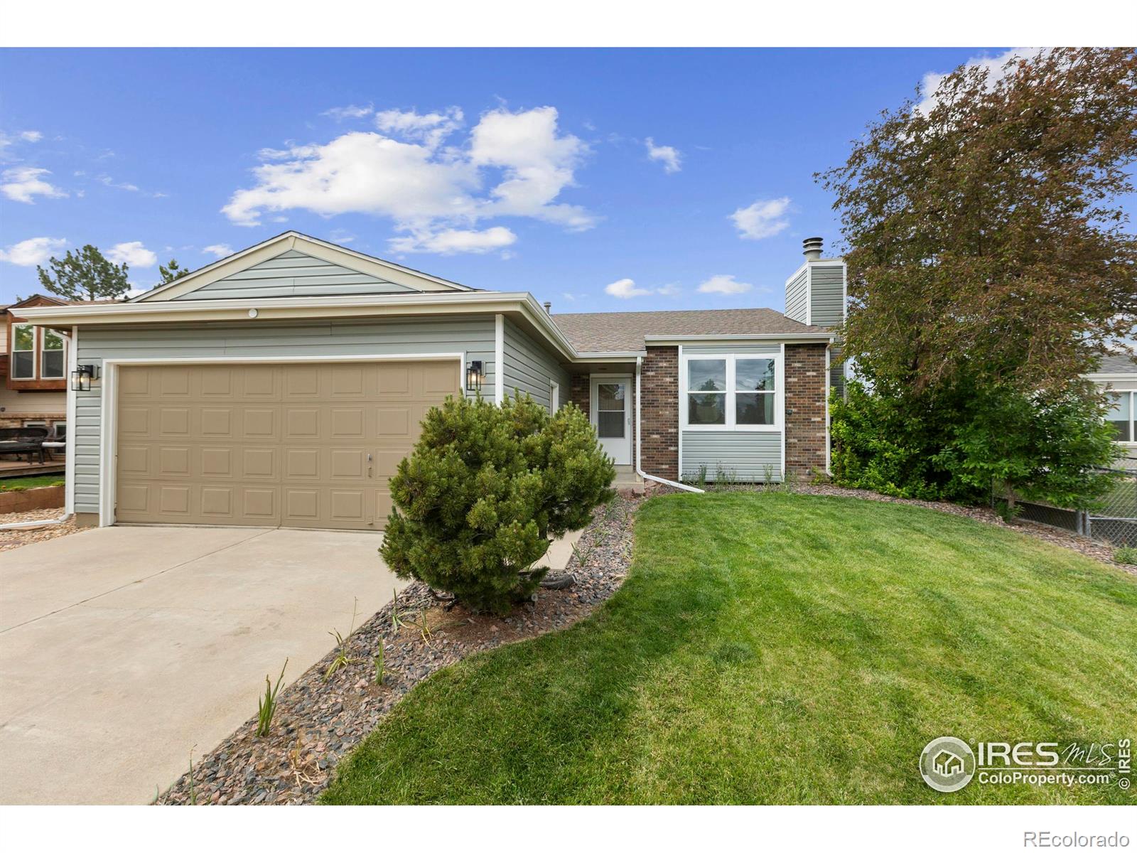 MLS Image #2 for 1512  calkins avenue,longmont, Colorado