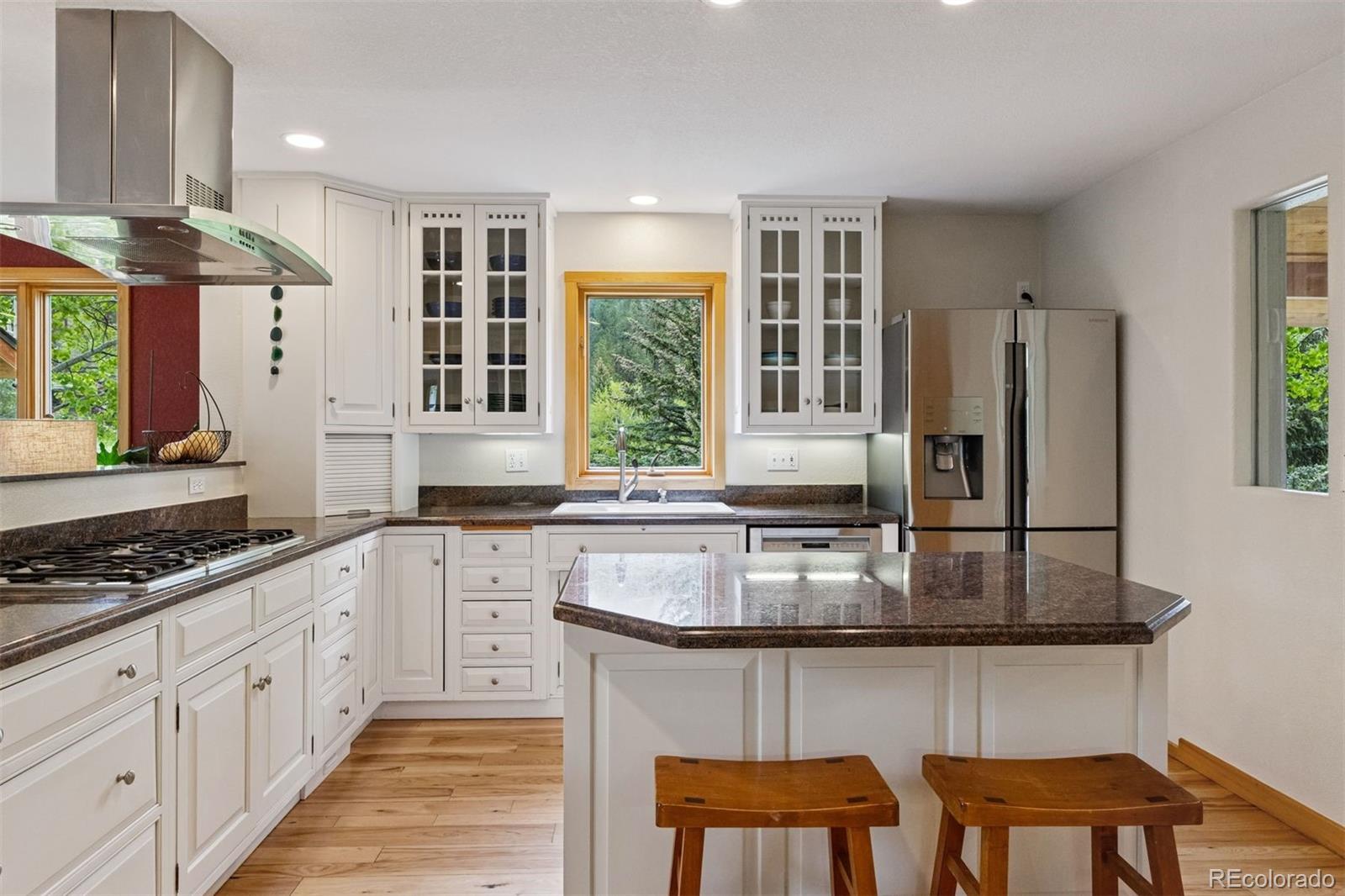 MLS Image #8 for 4230 s meadow brook lane,evergreen, Colorado