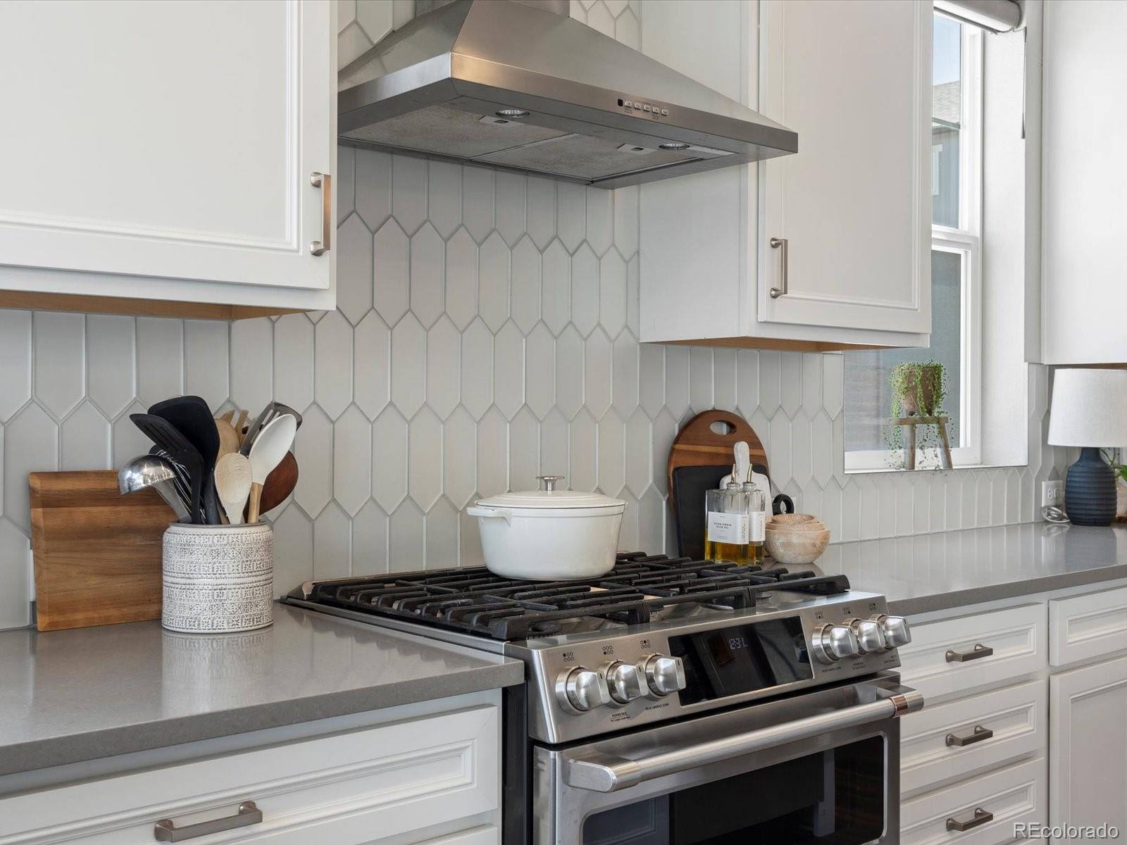 MLS Image #11 for 8989  southurst street,highlands ranch, Colorado