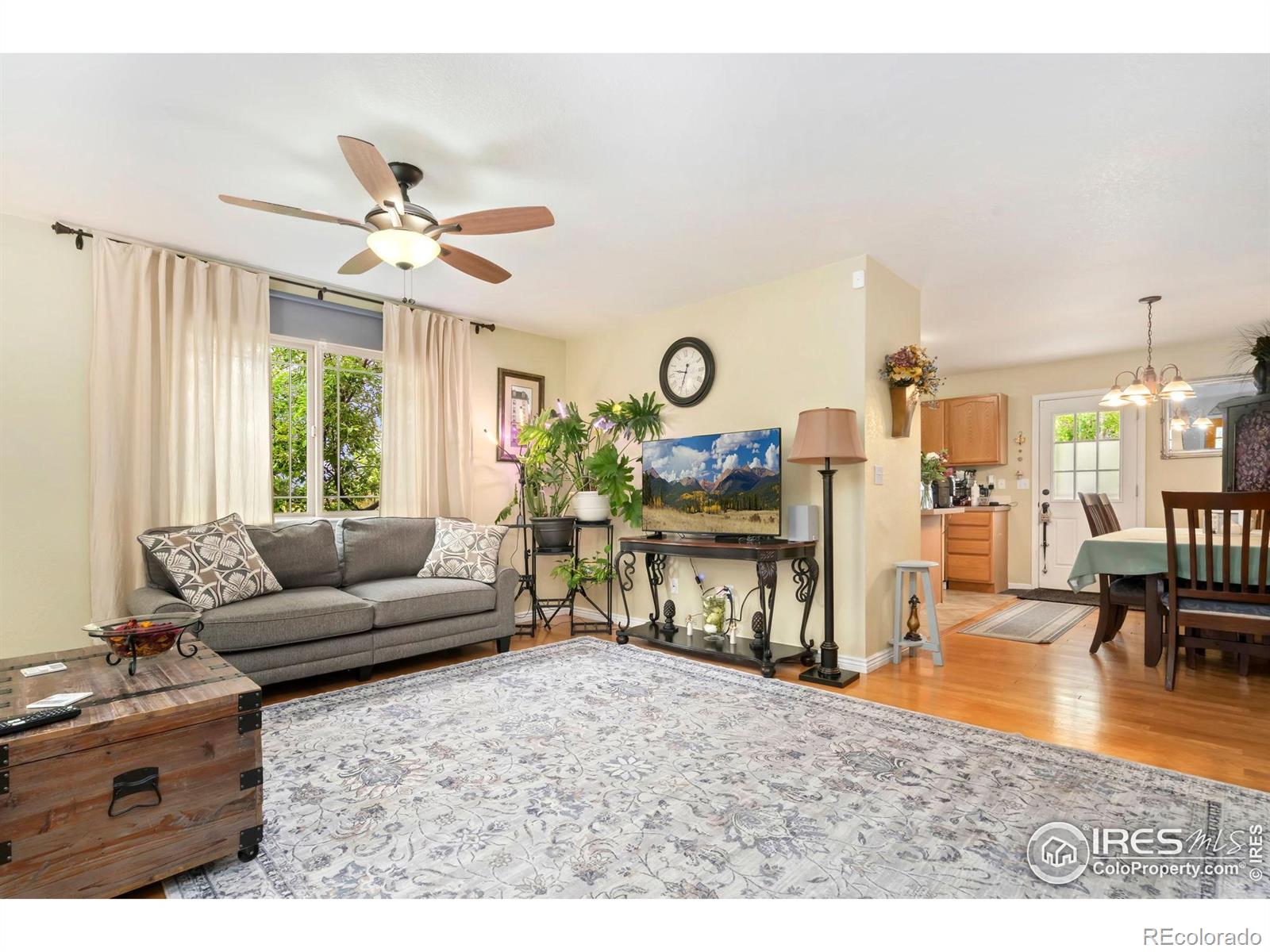 MLS Image #2 for 4592  hayler avenue,loveland, Colorado
