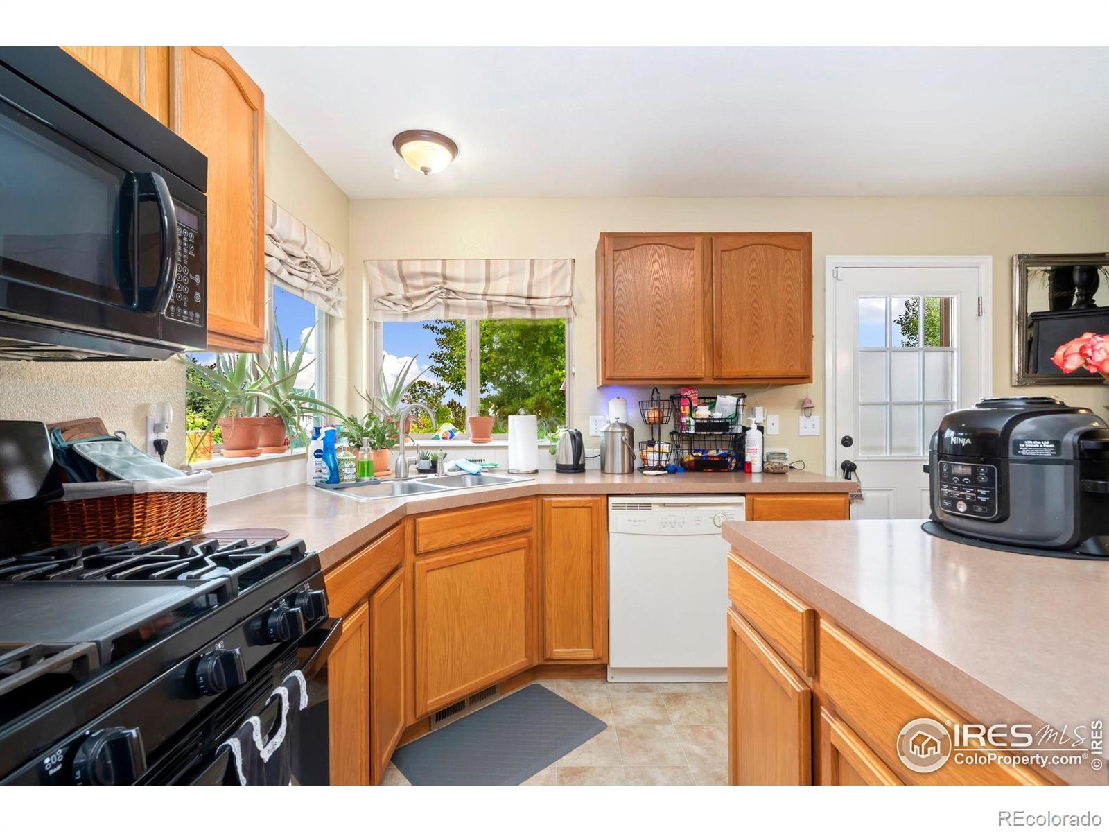 MLS Image #9 for 4592  hayler avenue,loveland, Colorado