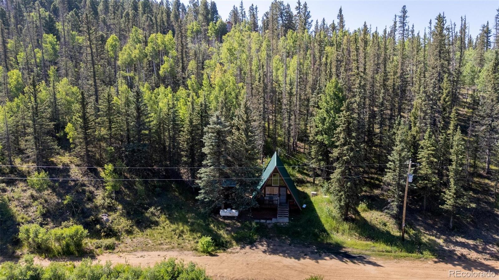 MLS Image #19 for 274  midland road,florissant, Colorado