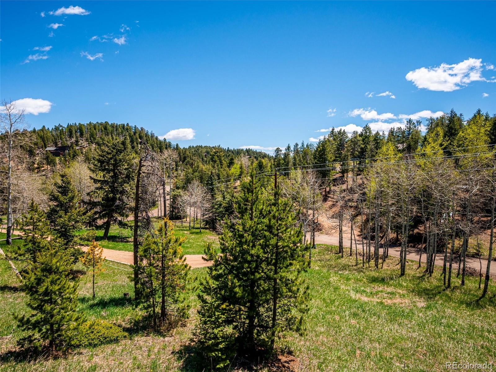 MLS Image #19 for 34075  grouse lane,evergreen, Colorado