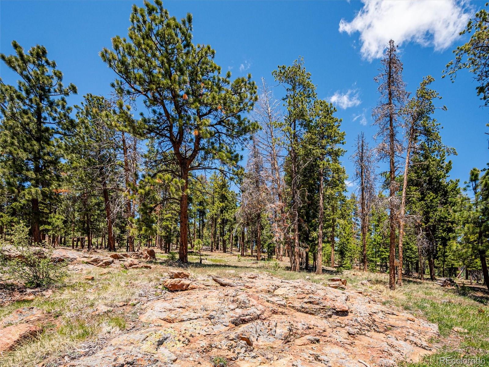 MLS Image #35 for 34075  grouse lane,evergreen, Colorado