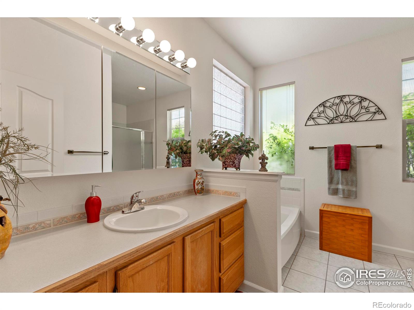 MLS Image #14 for 1881  indian hills circle,fort collins, Colorado