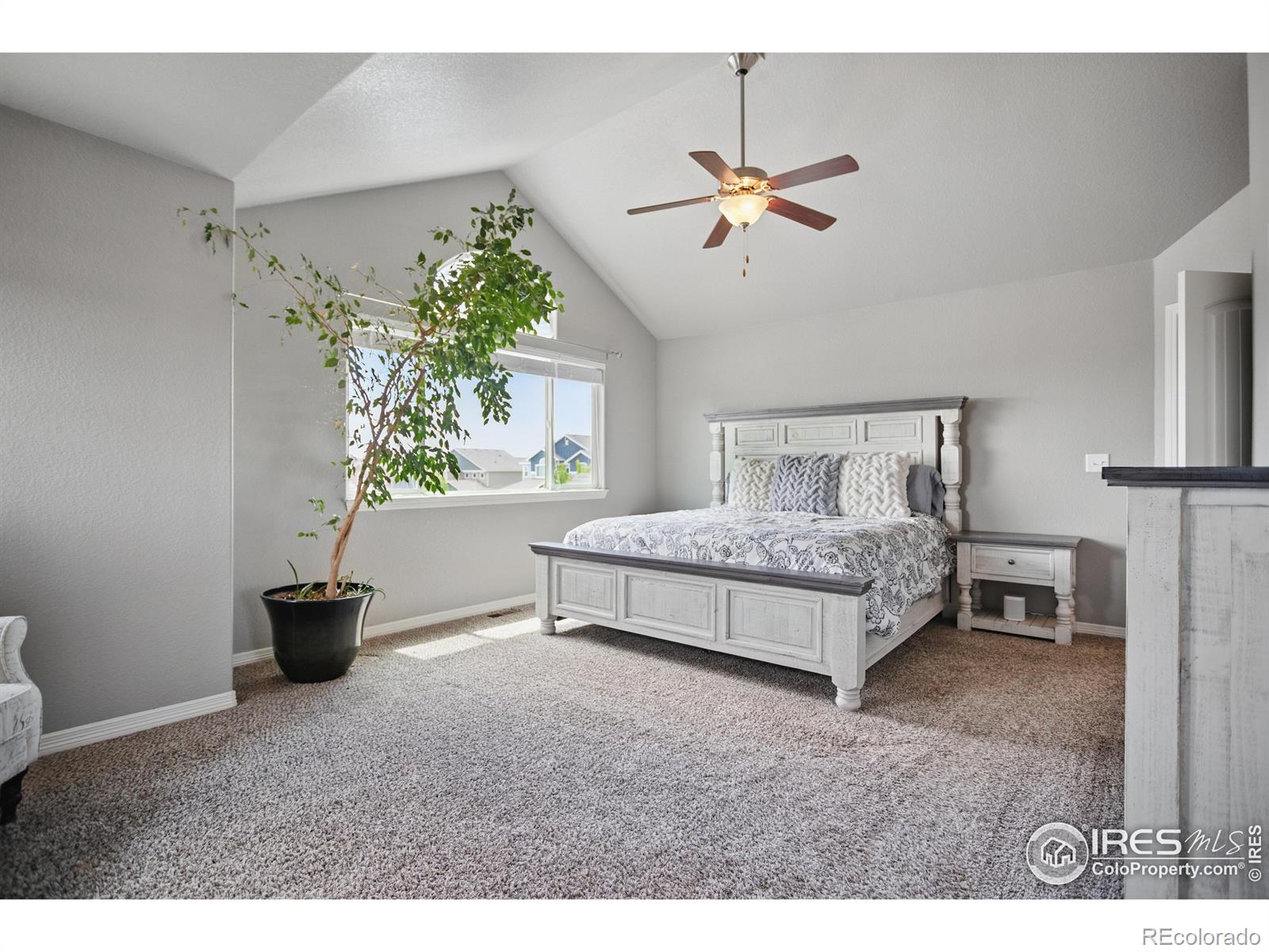 MLS Image #22 for 5816  osbourne court,windsor, Colorado