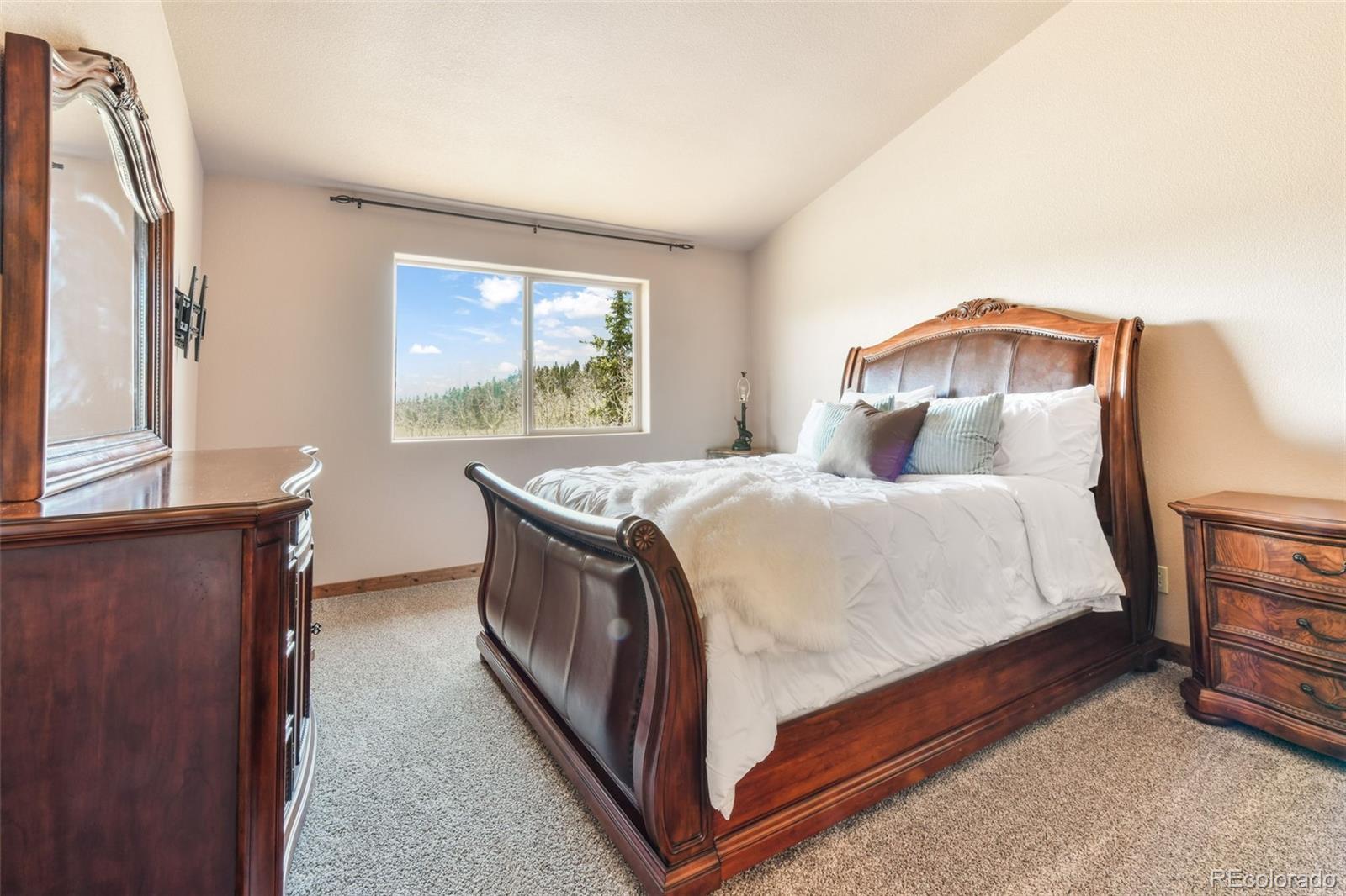 MLS Image #12 for 631  county road 61 ,cripple creek, Colorado