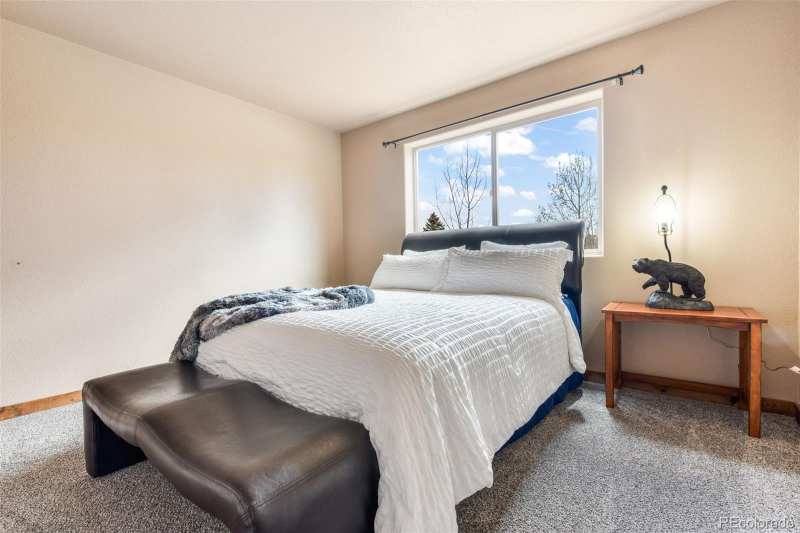 MLS Image #24 for 631  county road 61 ,cripple creek, Colorado