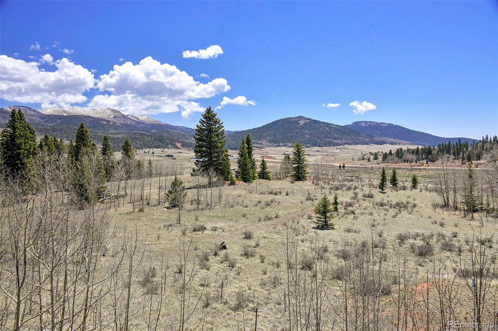MLS Image #47 for 631  county road 61 ,cripple creek, Colorado