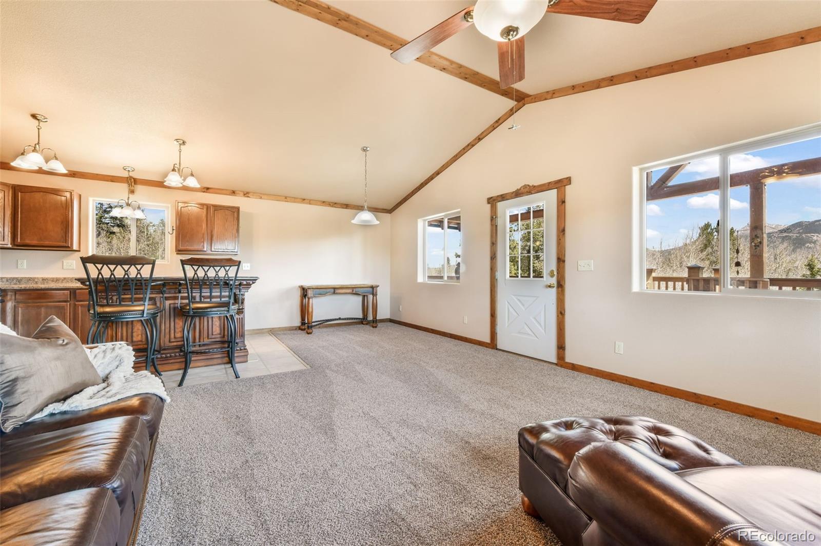MLS Image #6 for 631  county road 61 ,cripple creek, Colorado