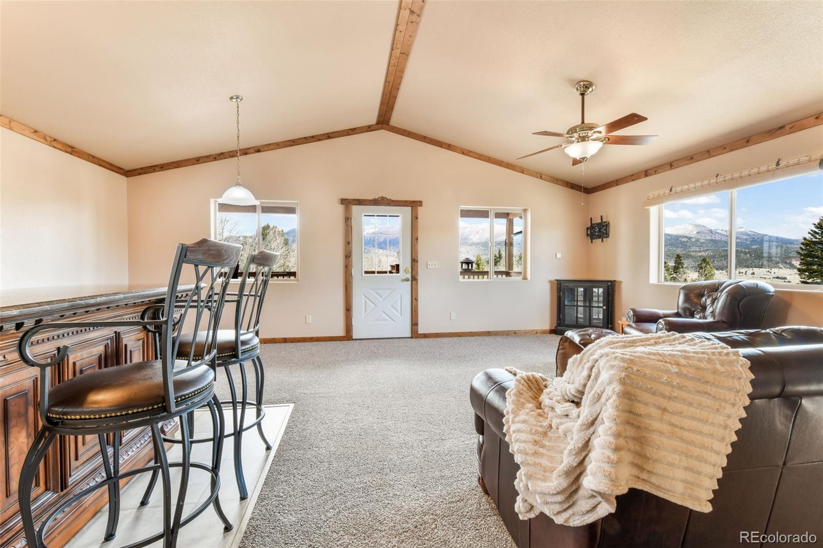 MLS Image #9 for 631  county road 61 ,cripple creek, Colorado