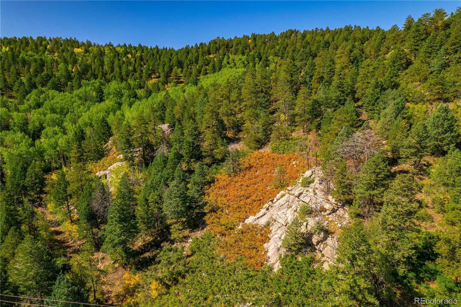 MLS Image #10 for 13007  kuehster road,littleton, Colorado