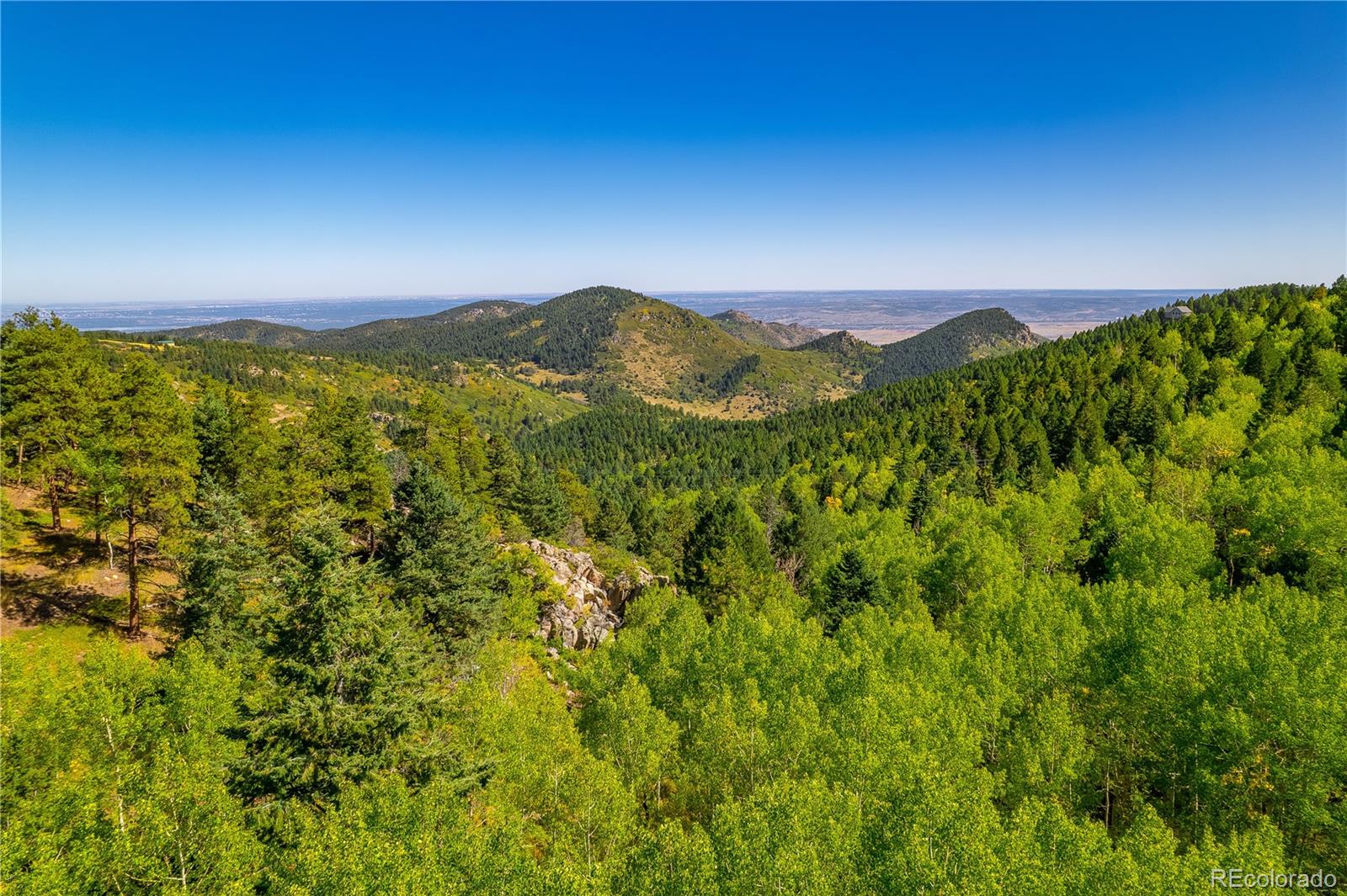 MLS Image #12 for 13007  kuehster road,littleton, Colorado