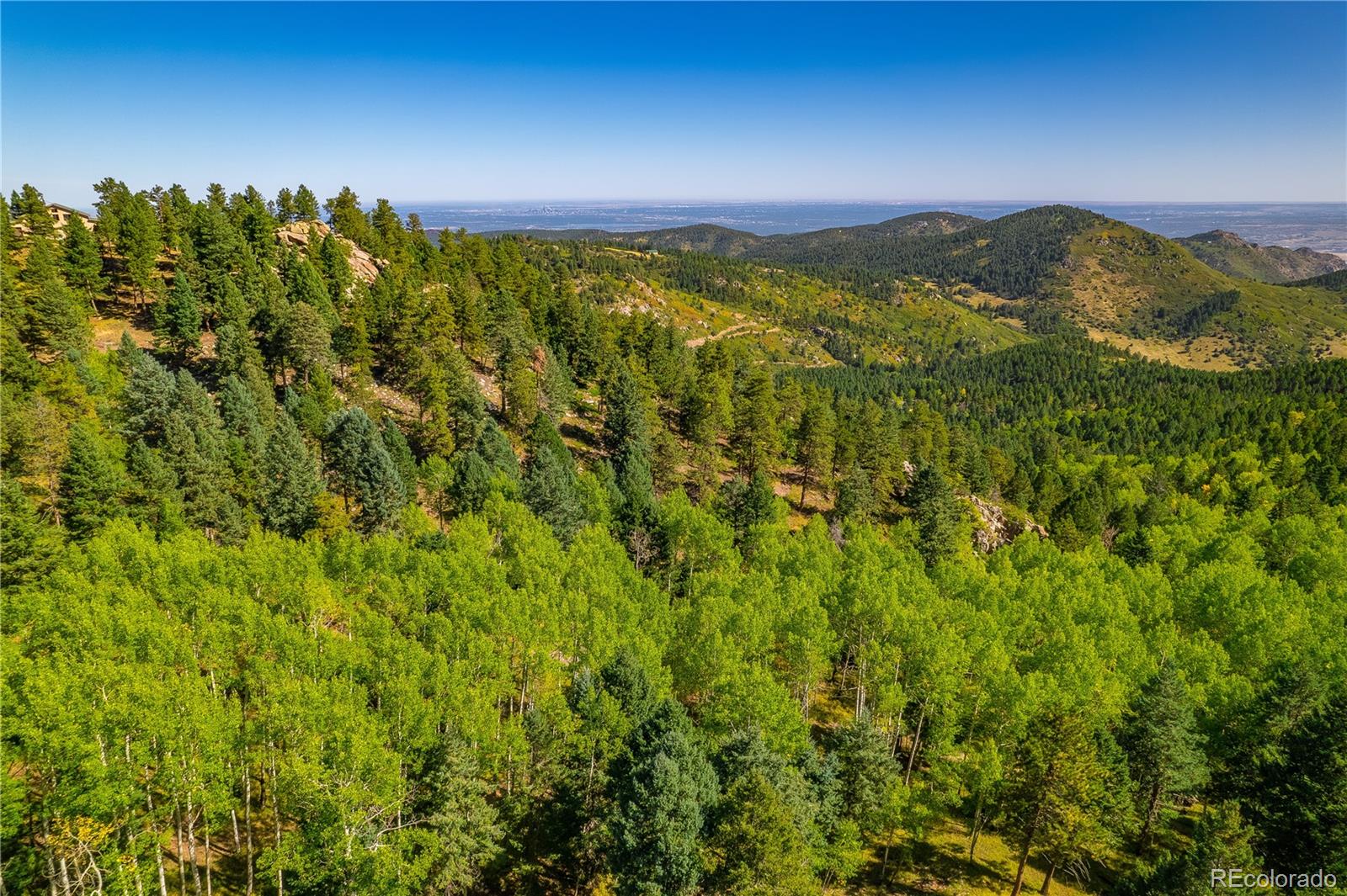 MLS Image #7 for 13007  kuehster road,littleton, Colorado