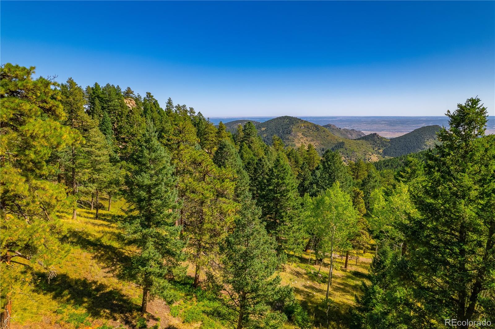 MLS Image #9 for 13007  kuehster road,littleton, Colorado