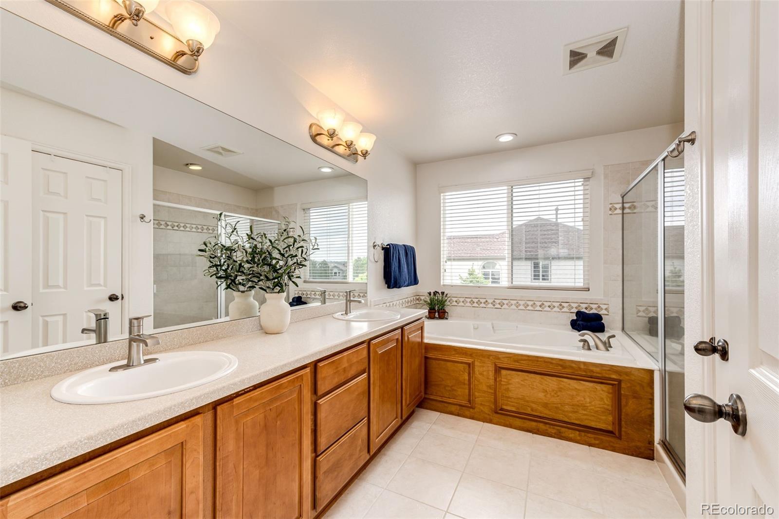 MLS Image #20 for 22962  briar leaf avenue,parker, Colorado