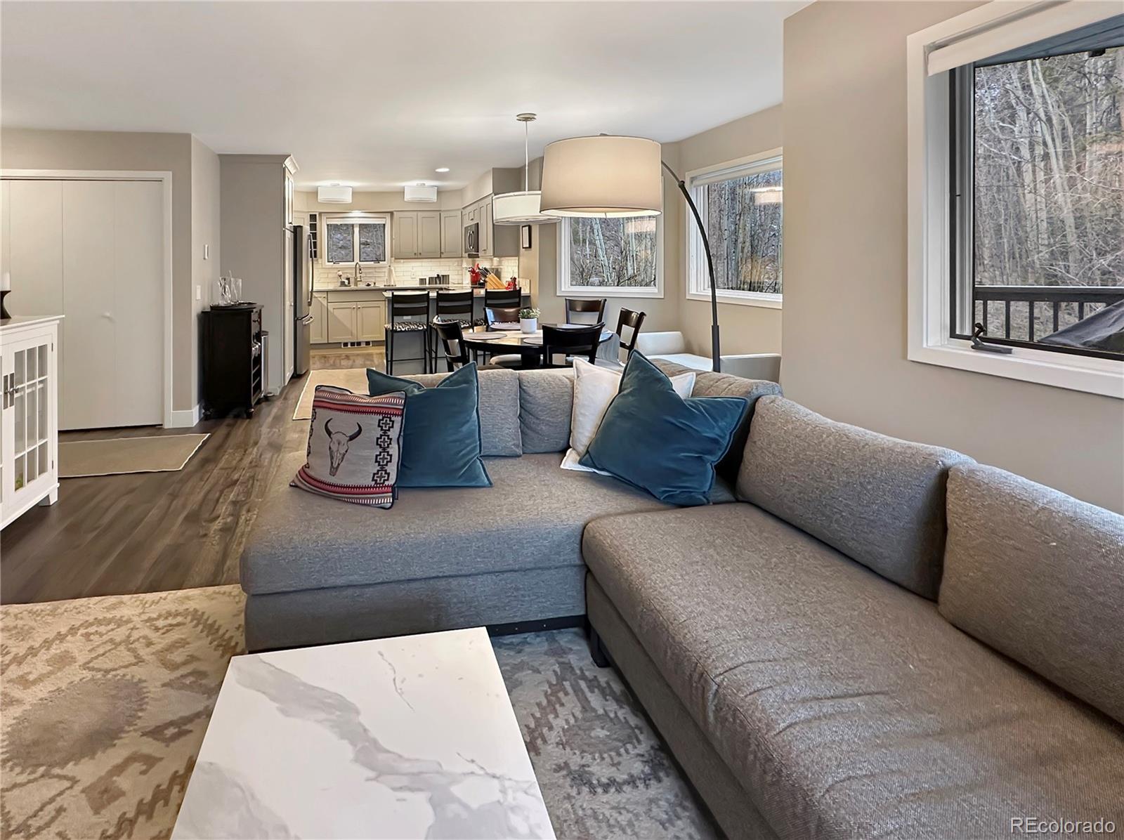 MLS Image #28 for 290  broken lance drive,breckenridge, Colorado