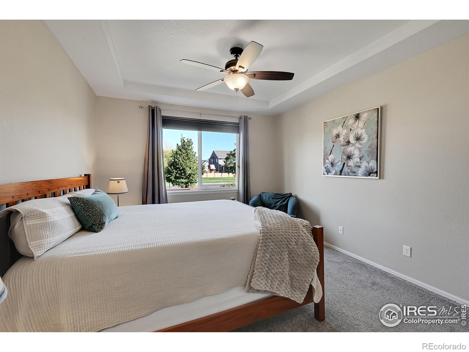 MLS Image #15 for 6448  cloudburst avenue,timnath, Colorado