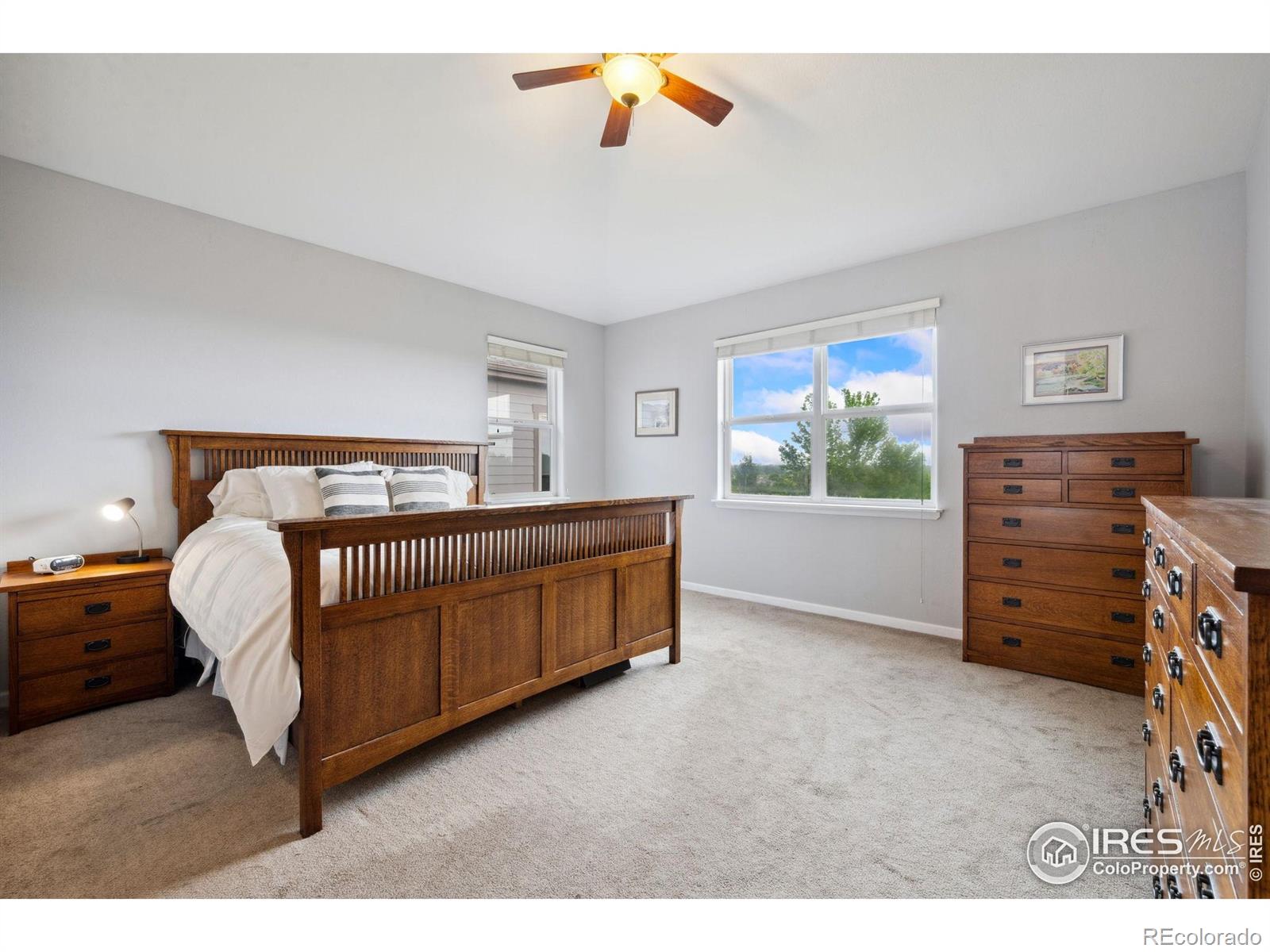 MLS Image #11 for 1755  dolores river drive,windsor, Colorado