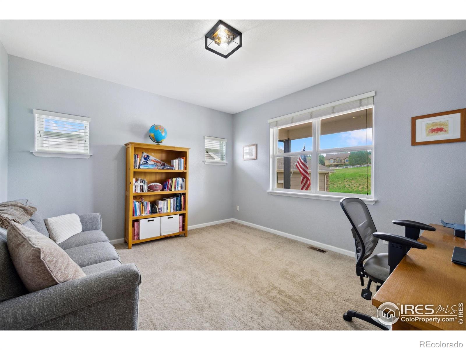 MLS Image #17 for 1755  dolores river drive,windsor, Colorado