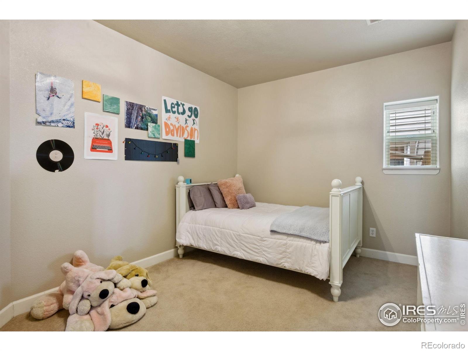 MLS Image #26 for 1755  dolores river drive,windsor, Colorado