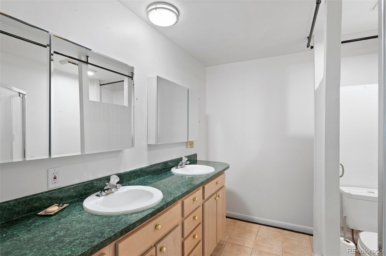 MLS Image #19 for 2518 s patton court,denver, Colorado