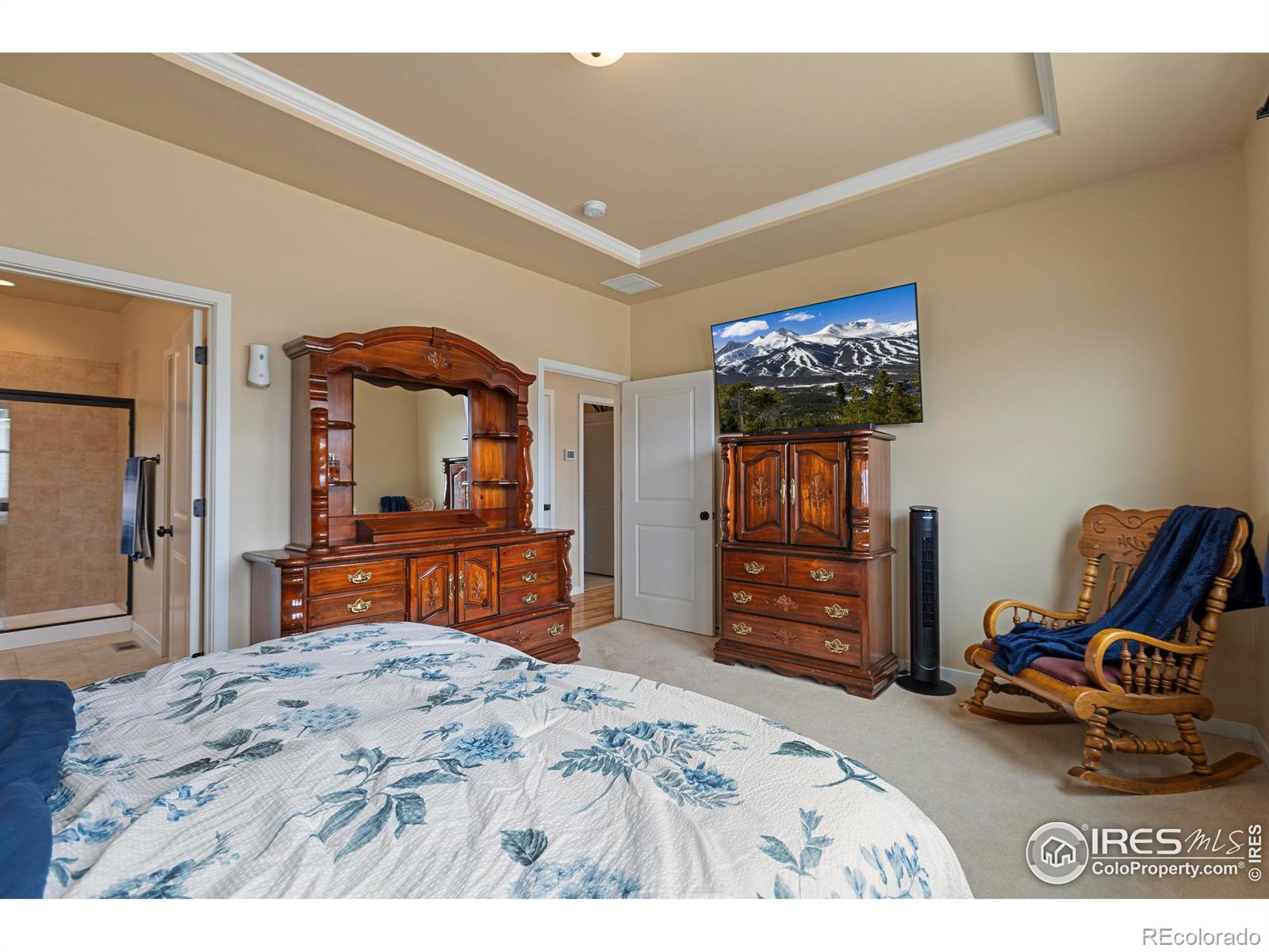 MLS Image #17 for 3802  eucalyptus street,wellington, Colorado