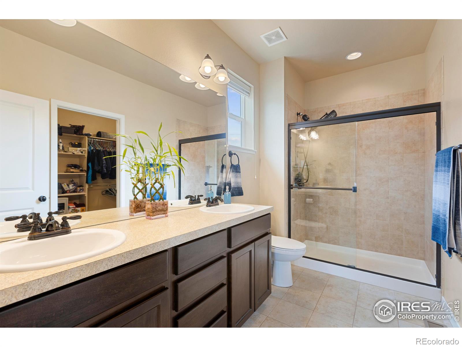 MLS Image #19 for 3802  eucalyptus street,wellington, Colorado
