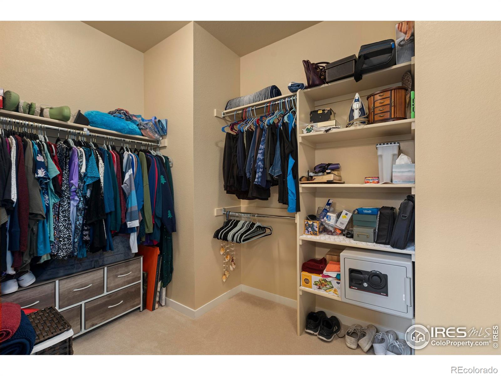 MLS Image #20 for 3802  eucalyptus street,wellington, Colorado