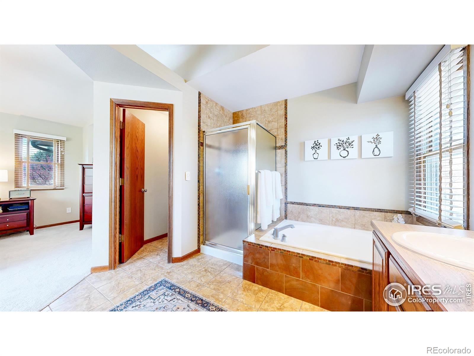MLS Image #15 for 2906  redburn drive,fort collins, Colorado