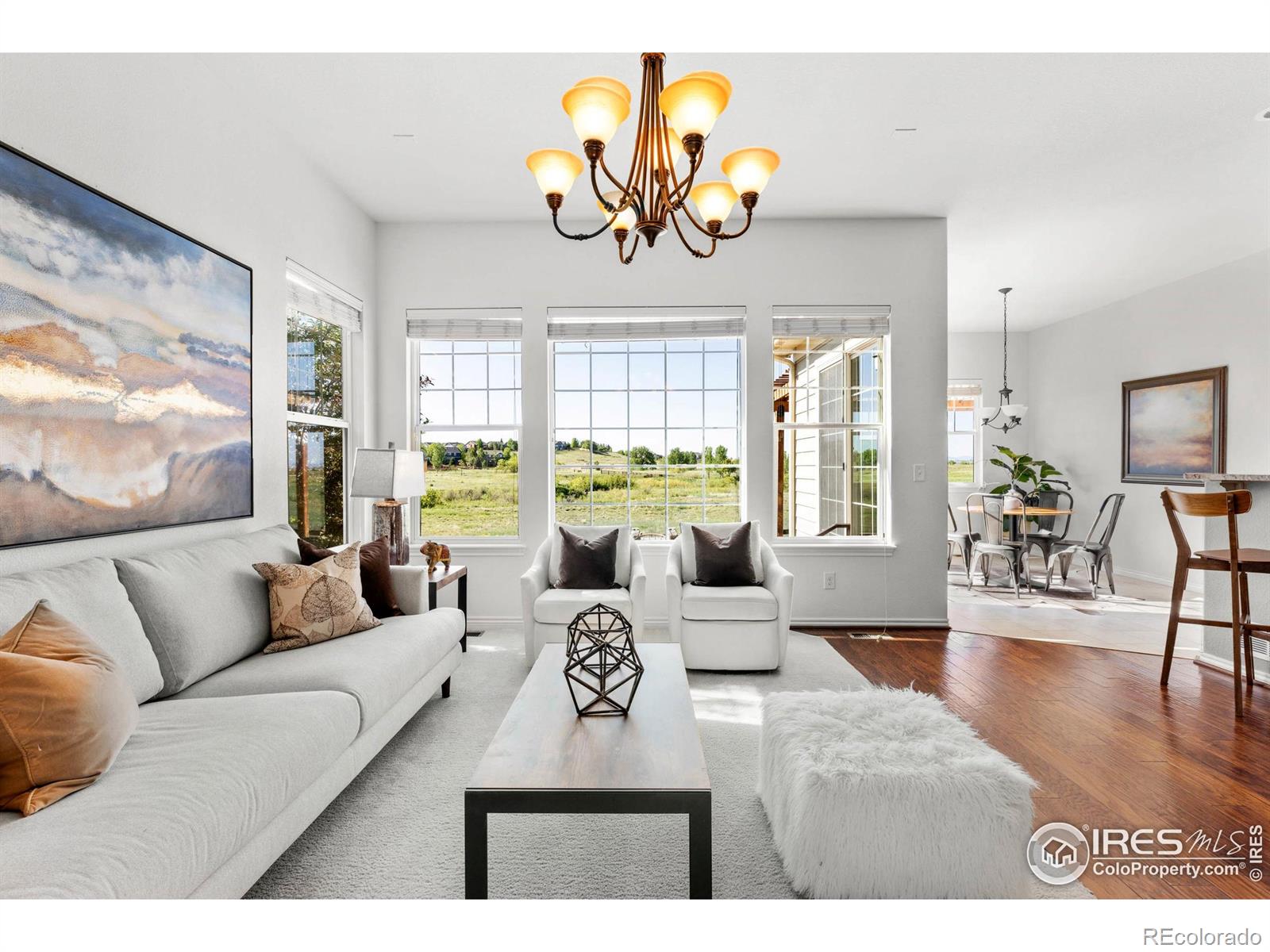 MLS Image #4 for 102  ortega court,erie, Colorado
