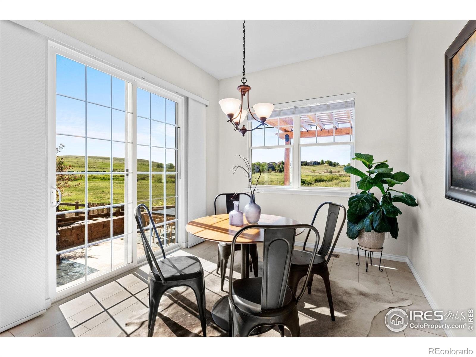 MLS Image #7 for 102  ortega court,erie, Colorado